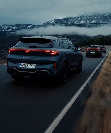 electric cupra vehicle being charged with cupra charger by elli